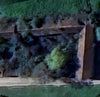 Maison des merveilles
